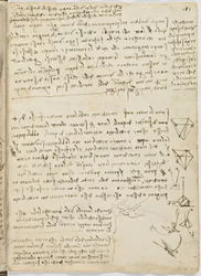 Código sobre el vuelo de los pájaros, c. 1505-06, manuscrito en papel, cc. 18, hoja 11 recto